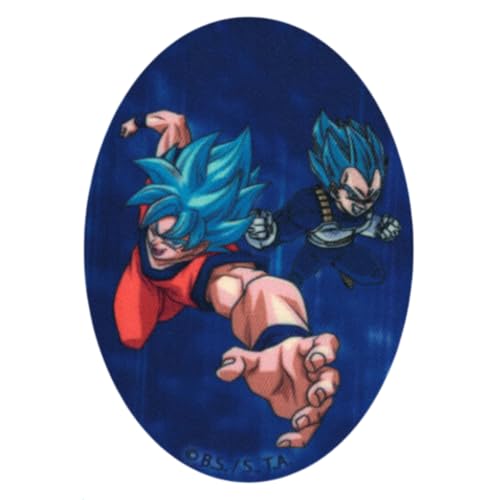 COMERCIAL MERCERA, Dekorativer Aufnäher zum Aufbügeln, Dragon Ball, Thermo-Knieflicken Dragon Ball zum Reparieren von T-Shirts, Jacken, Hosen, 100% Polyester, 11x8 cm (Goku y Vegeta Super Saiyan Blau) von CMM COMERCIAL MERCERA