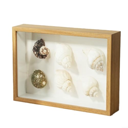 CNANRNANC Schattenbox-Rahmen, Muschel-Conch, dreidimensionale Aufbewahrungsbox, Display, Exemplar, Schattenetui, Bilderrahmen für getrocknete Blumen, DIY Handwerk (Holz) von CNANRNANC