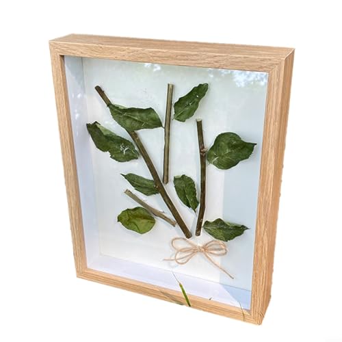 CNANRNANC Shadow Box Vitrine, 26 x 22 x 6 cm, 3D-Schattenbox-Rahmen mit Glasfenster, Bilderrahmen, Hochzeitsstrauß, Erinnerungsstücke, Medaillen, Fotos, Erinnerungsbox für Andenken (Holz) von CNANRNANC