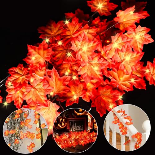 CNMTCCO Herbst Lichterkette, 50 Ahornblatt Licht, Herbst Blättergirlande, Länge 5 Meter Benutzt für Halloween Deko und Herbstdeko Weihnachtsdeko Tischdeko Party Deko von CNMTCCO