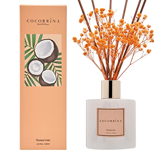 Cocorrína Premium Schilfrohr-Diffusor-Set mit konserviertem Babybreath & Baumwollstab Coconut Lime | 190 g Duftöl Diffusor für Schlafzimmer Badezimmer Wohnzimmer Wohnkultur von COCORRÍNA