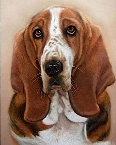 COKYIS Erwachsene Kreuzstich Stickpackungen Basset-Hund 11CT DIY Gestempelte Kreuzstich-Kits Vorgedruckte Stickerei Starter Kits Für Anfänger 40×50cm von COKYIS