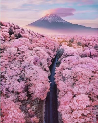 COKYIS Erwachsene Kreuzstich Stickpackungen Sakura Highway Mount Fuji 11CT Vorgedruckt zählen Set DIY Stickbilder Kreuzstich Für Anfänger Home Decor 40×50cm von COKYIS