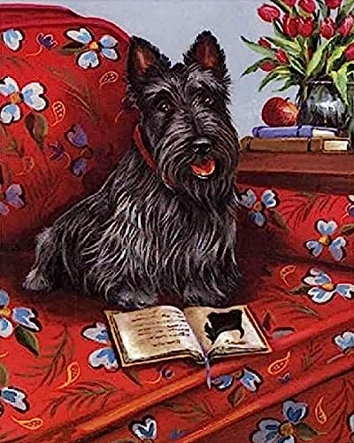 COKYIS Erwachsene Kreuzstich Stickpackungen Scottish Terrier 11CT DIY Gestempelte Kreuzstich-Kits Vorgedruckte Stickerei Starter Kits Für Anfänger 40×50cm von COKYIS