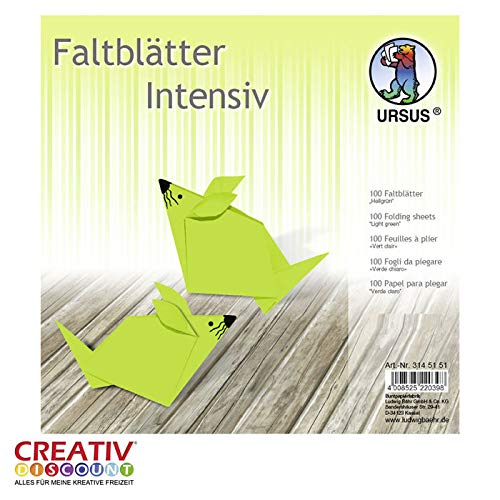 CREATIV DISCOUNT® NEU Faltblätter intensiv 100B, 20x20cm, hellgrün von CREATIV DISCOUNT