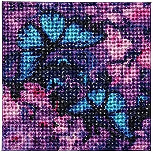 Crystal Art CAK-AM1 Blauviolette Schmetterlinge, Kristallkunst 30x30cm Framed Kits, Multicolor, 12 x 12 inches von CRYSTAL ART