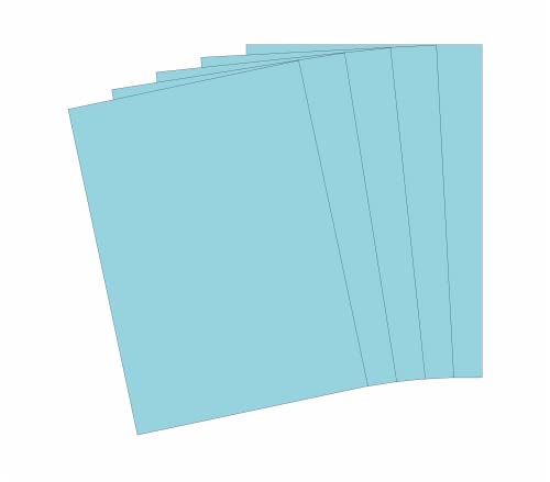 10 Blatt Qualitätspapier/Farbpapier/Kopierpapier A4 HELLBLAU 160g/qm Coloraction von CS Webkontor