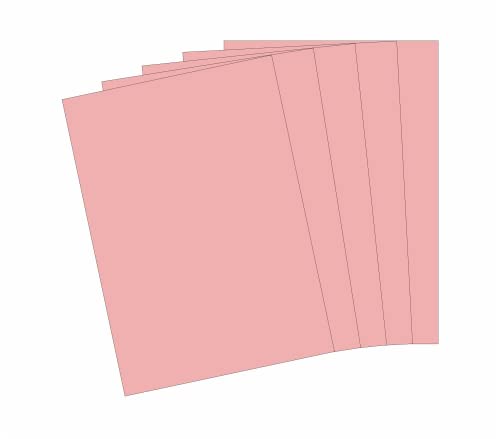 10 Blatt Qualitätspapier/Farbpapier/Kopierpapier A4 ROSA 160g/qm Coloraction von CS Webkontor