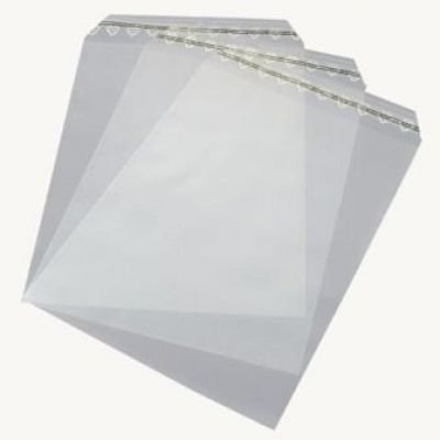 10 Stk. Adhäsionsverschlussbeutel/Klappenbeutel LDPE 250 x 350 mm 50 mµ (0,05 mm) transparent selbstklebend von CS Webkontor