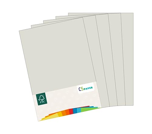 MADE IN EU 10 Blatt Bastelkarton GRAU A4 210 g/m² CS Paper - Bastelpapier, Fotokarton, Tonpapier zum Basteln, Falten und Zeichnen im Format DIN A4. Farbkarton für den Heim- & Bürobedarf von CS Webkontor