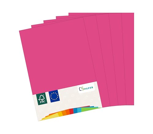 MADE IN EU 10 Blatt Bastelkarton PINK A4 210 g/m² CS Paper - Bastelpapier, Fotokarton, Tonpapier zum Basteln, Falten und Zeichnen im Format DIN A4. Farbkarton für den Heim- & Bürobedarf von CS Webkontor