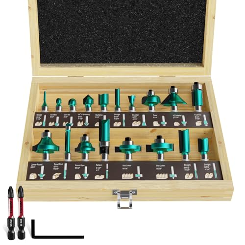 CSOOM 20-teiliges Fräser-Bit-Set, 1/2-Zoll-Schaft, mit 2 Chargenkopf, professionelle Holz-Bits, Wolframkarbid-Frässtifte für Holzbearbeitung von CSOOM