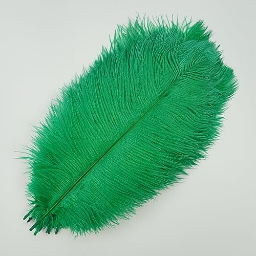 CTRSM Spitze mit Federfransen, 10Pcs Farbige for Handwerk Feder Hochzeit Party Decor Tisch Mittelstücke Schmuck Kunsthandwerk Dekoration(Grass Green,35 40cm) von CTRSM