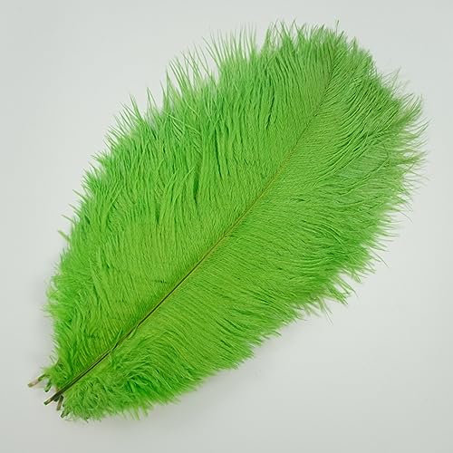 CTRSM Spitze mit Federfransen, 10Pcs Farbige for Handwerk Feder Hochzeit Party Decor Tisch Mittelstücke Schmuck Kunsthandwerk Dekoration(Green,35 40cm) von CTRSM