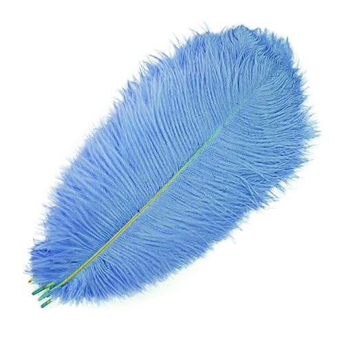 CTRSM Spitze mit Federfransen, 10Pcs Farbige for Handwerk Feder Hochzeit Party Decor Tisch Mittelstücke Schmuck Kunsthandwerk Dekoration(Light Blue,35 40cm) von CTRSM