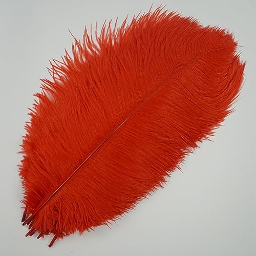 CTRSM Spitze mit Federfransen, 10Pcs Farbige for Handwerk Feder Hochzeit Party Decor Tisch Mittelstücke Schmuck Kunsthandwerk Dekoration(Red,35 40cm) von CTRSM