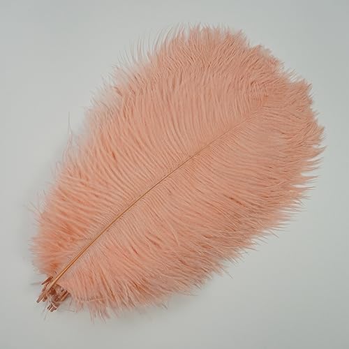 CTRSM Spitze mit Federfransen, 10Pcs Farbige for Handwerk Feder Hochzeit Party Decor Tisch Mittelstücke Schmuck Kunsthandwerk Dekoration(Shell Pink,35 40cm) von CTRSM