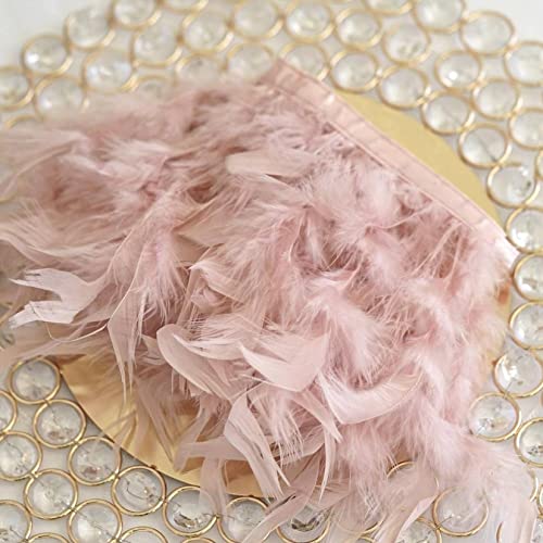 CTRSM Spitze mit Federfransen, 5 Yards Federn Trimmt Fringe Farbe DIY Band Hochzeit Kleid Dekoration Nähen Plumes Handwerk(Leather Pink) von CTRSM