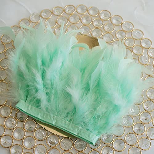 CTRSM Spitze mit Federfransen, 5 Yards Federn Trimmt Fringe Farbe DIY Band Hochzeit Kleid Dekoration Nähen Plumes Handwerk(Mint Green) von CTRSM