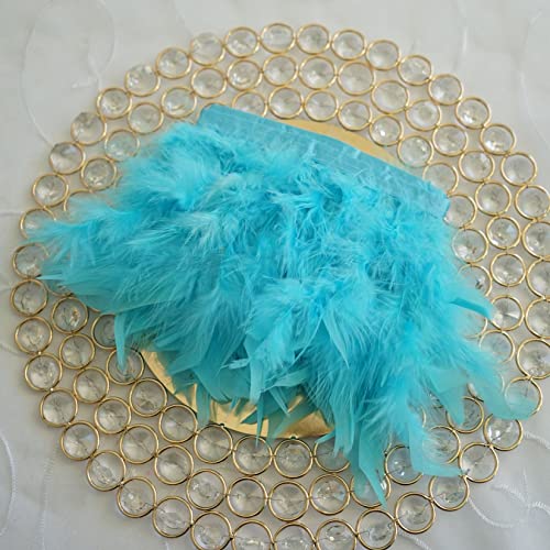 CTRSM Spitze mit Federfransen, 5 Yards Federn Trimmt Fringe Farbe DIY Band Hochzeit Kleid Dekoration Nähen Plumes Handwerk(Sky Blue) von CTRSM