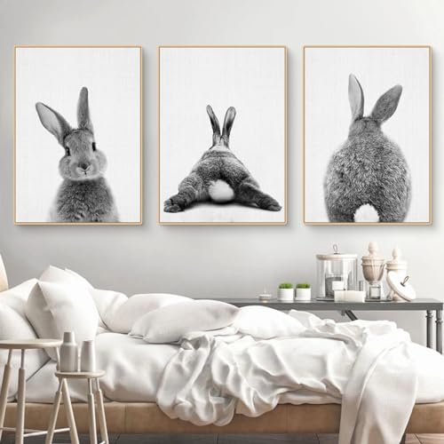 CULASIGN 3er Premium Kaninchen Poster Set, Tiere Hase Bilder Kinderposter Leinwand Wandkunst, Wandbilder Deko für Kinderzimmer Babyzimmer Mädchen Jungen, Ohne Bilderrahmen (50x70cm,DEF) von CULASIGN