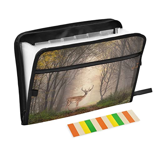 Autumn Deer Forest 13 Pockets Expanding File Ordner with Labels,Fall Vintage Tree Retro Akkordian File Organizer with Zippers for Home Office School Supplies,A4 Letter Size Portable File Ordner von CUPADA