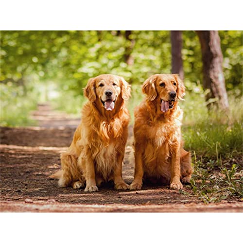 Diamond Painting Goldener Retriever Bilder 10x20cm 5D Diamont Painting Set, Diamant Painting Kinder Mädchen DIY Diamond Dots Crystal Art Malen Nach Zahlen Erwachsene für Aesthetic Room Decor Z-4527 von CURTEK