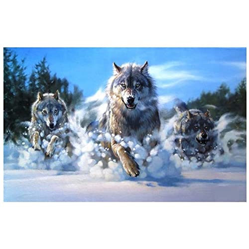 Diamond Painting Schneewolf Bilder 60x90cm 5D Diamont Painting Set, Diamant Painting Kinder Mädchen DIY Diamond Dots Crystal Art Malen Nach Zahlen Erwachsene für Aesthetic Room Decor Geschenk Z-6970 von CURTEK