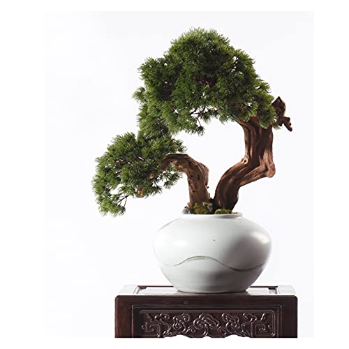 Künstliche Bonsai-Pflanze Künstlicher Bonsai-Baum Wohnzimmer Simulation Baumschmuck Keramik Blumentopf Simulation Grüne Blätter Gefälschte Pflanzen Home Office Ornamente Künstlicher Bonsai-Baum von CWLPSL