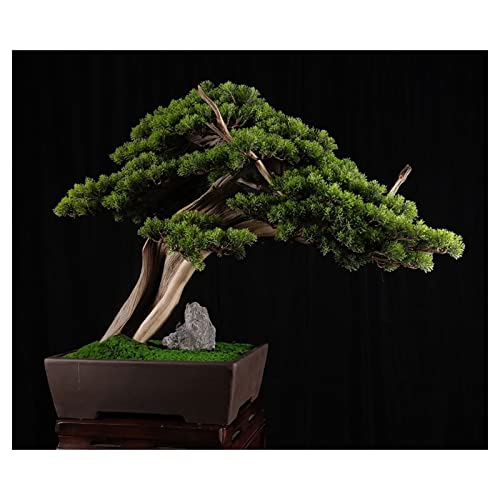 Künstliche Pflanzen Künstlicher Baum Bonsai Künstliche Topfpflanze Inneneingang Grünpflanze Dekoration Chinesische Innendekoration Gefälschter Baum mit Keramik Blumentopf Künstliche Zimmerpflanzen (B) von CWLPSL