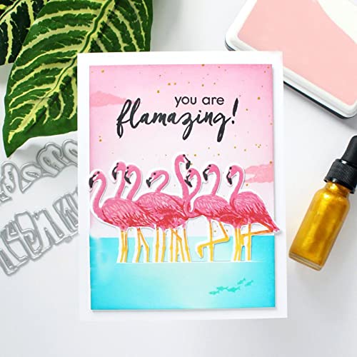 Flamingo-Stanzformen und Stempel-Sets für Kartenherstellung Libelle Metall Stanzformen Koordinate Transparent Silikondichtung Stempel für Papier Basteln Handarbeit Scrapbooking Supplies Album Dekor von CYFUN DESIGN