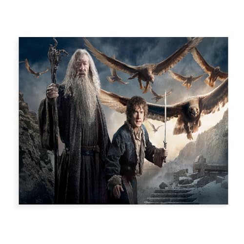 CYNOSKY GUANGFAN DIY Malen Nach Zahlen, The Lord Of The Rings DIY Digitale Leinwand Ölgemälde Geschenk für Kinder, Studenten, Erwachsene Anfänger- Filmplakat-A002 -Mehrere Größen von CYNOSKY