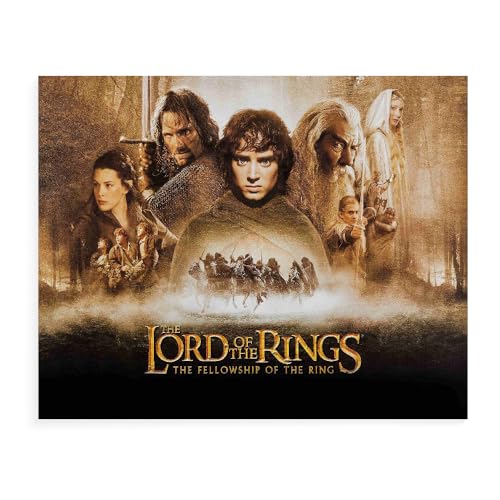 CYNOSKY GUANGFAN DIY Malen Nach Zahlen, The Lord Of The Rings DIY Digitale Leinwand Ölgemälde Geschenk für Kinder, Studenten, Erwachsene Anfänger- Filmplakat-A005 -Mehrere Größen von CYNOSKY