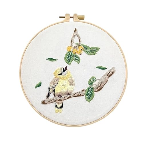 CaFfen Sticken Set Birds Flowers Embroidery Kit for Adults Beginners Stamped Cross Stitch Kits with Birds Pattern Stamped Embroidery Cloth Embroidery Kit(C7,with 20cm Hoop) von CaFfen