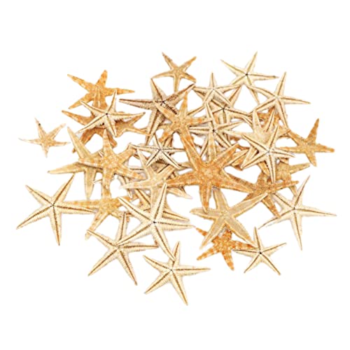 Cabilock Mini-seestern-Ornament Zement-Strass-skulptur Miniatur-landschaftsdekor Heim-deko-Accessoires Beige von Cabilock