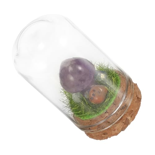 Cabilock Feengartenpilz Feengarten-Accessoires schreibtischdeko Schreibtisch Dekoration Geschenke Wohnkultur Kristallpilz für den Desktop Kristall-Pilz-Ornament Kuppel Glas von Cabilock