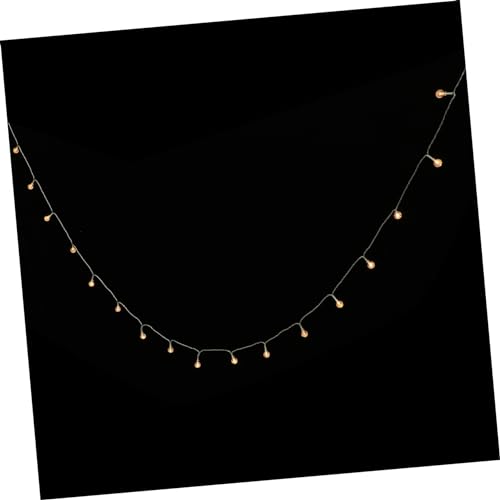 Cabilock Schnur Fairy Lights Indoor Glühbirnen Lichterkette Kugelleuchte Innen Funkelnde Lichterkette Bunte Lichterkette Weihnachtselfenlichter Blumen Lichterkette Foto Clip Lichterkette von Cabilock