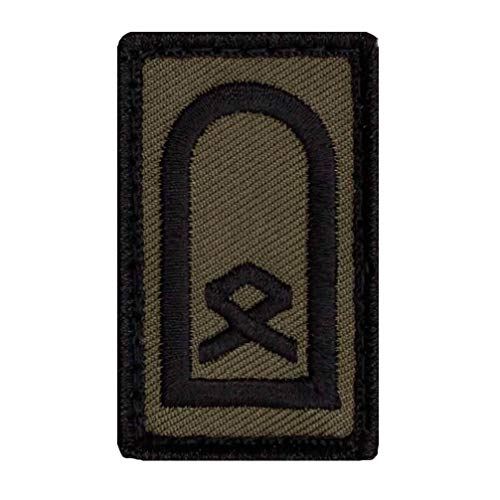 Café Viereck ® Hauptfeldwebel Bundeswehr Rank Patch mit Dienstgrad - Gestickt mit Klett – 3 x 5 cm (Oliv mini) von Café Viereck