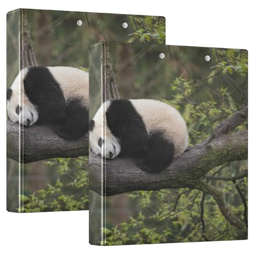 3 Ringbücher 3,8 cm (1 1/2 Zoll) Notizbücher mit Klemmbrett, 1/2 Packungen, Schulhefter, 200 Blatt, 2 Stück, riesiger Panda-Test auf einem Baumzweig von Caihoyu