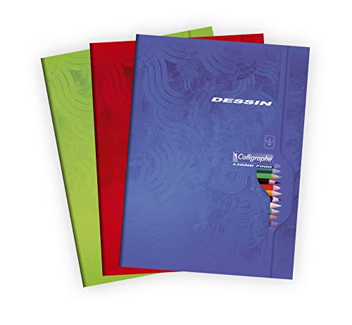 Clairefontaine 7555C - Packung mit 5 Heften Calligraphe, ideal für Kunstunterricht und Zeichnungen, 48 Blatt, DIN A4+, 24x32cm, 120g, blanko, sortierte Farben, 1 Pack von Clairefontaine