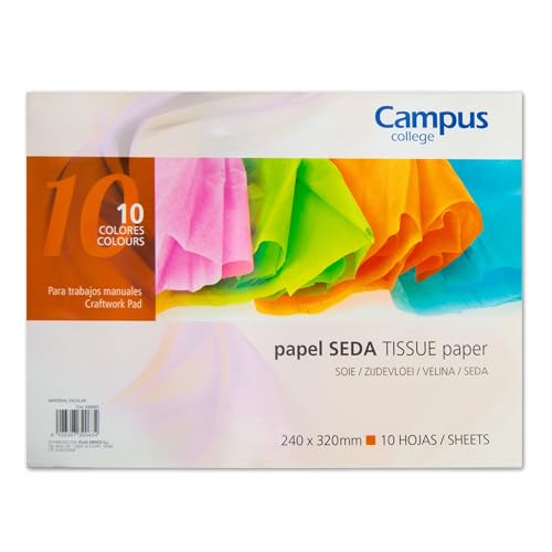 CAMPUS University 630093 – Pack von 10 Blatt Seidenpapier, 24 x 32 cm, mehrfarbig von Campus University