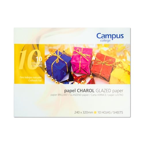 CAMPUS University 630096 – Pack von 10 Blatt Papier Lack, 24 x 31 cm von Campus University