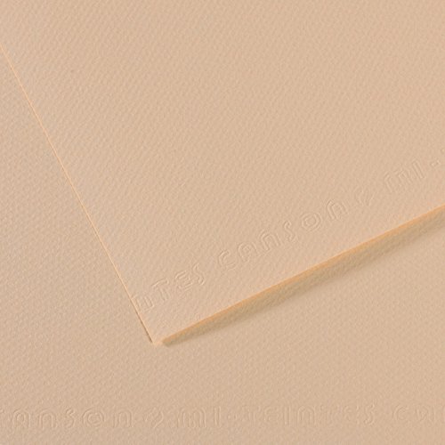 Canson 200321344 Mi-Teintes Künstlerpapier, 160 g/qm, 50 x 65 cm, pastellbeige von Canson