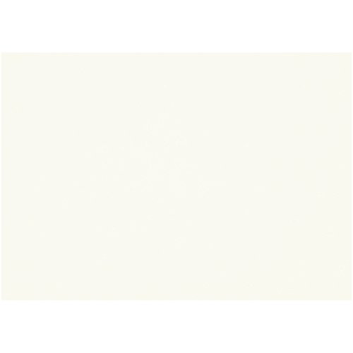 Canson Mi-Teintes Künstlerpapier, 160 g/qm, weiß, 50 x 65 cm Canson Mi-Teintes Künstlerpapier, 160 g/qm, weiß, 50 x 65 cm von Canson