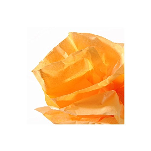 GUARRO CANSON 200992661 Rolle Seidenpapier, 0.5 x 5 m, orange GUARRO CANSON 200992661 Rolle Seidenpapier, 0.5 x 5 m, orange von Canson