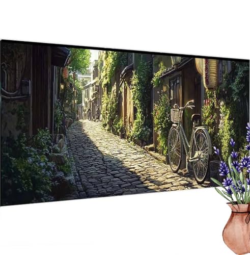 Diamond Painting Weinlese, Urban Diamond Painting Erwachsene Groß 60x30 cm DIY 5D Diamant Kunst Kinder Anfänger Set, Diamant Stickerei Bastelset Erwachsene Frauen für Zimmer Deko, Geschenke k-360 von Canuhkun