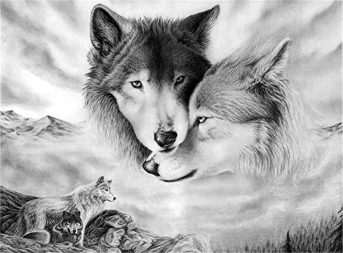 CaptainCrafts Malen nach Zahlen für Erwachsene Anfänger Leinen Leinwand Kits 16x20 Zoll - Zwei Wölfe Wolf kuscheln sich (Mit Rahmen) von CaptainCrafts