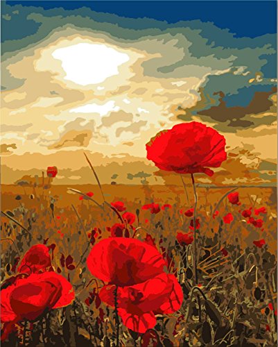 CaptainCrafts Malen nach Zahlen Erwachsene Bausatz Leinen Leinwand Acrylfarbe Kunstset Heimdekoration 40X50CM (Mit Rahmen, Mohn Rote Blumen Prairie) von CaptainCrafts