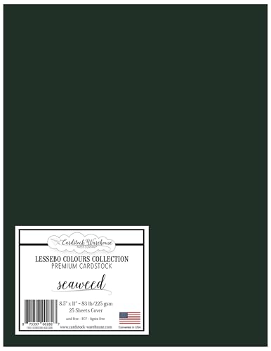 Cardstock Warehouse Lessebo Colours Seetang, 21,6 x 27,9 cm, 37,6 kg, mattes Premium-Kartonpapier, 225 g/m², 25 Blatt von Cardstock Warehouse Paper Company