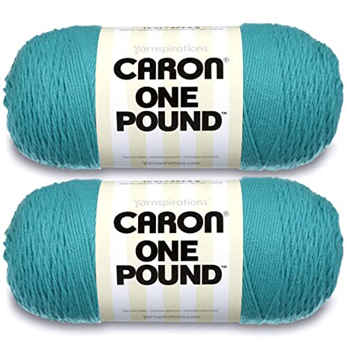 Caron Aqua-Garn, 2 Stück, 454 g, Acryl, 4 mittlere Kammgarn, 800 m, Stricken, Häkeln und Basteln von Caron